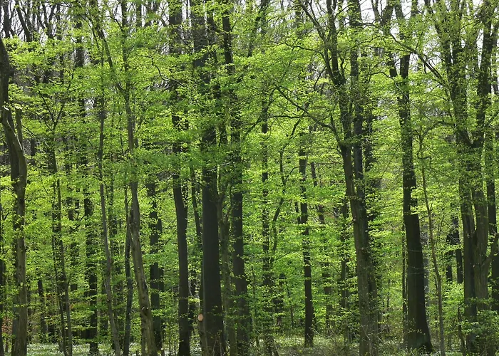 Ferienwohnungen Fischer